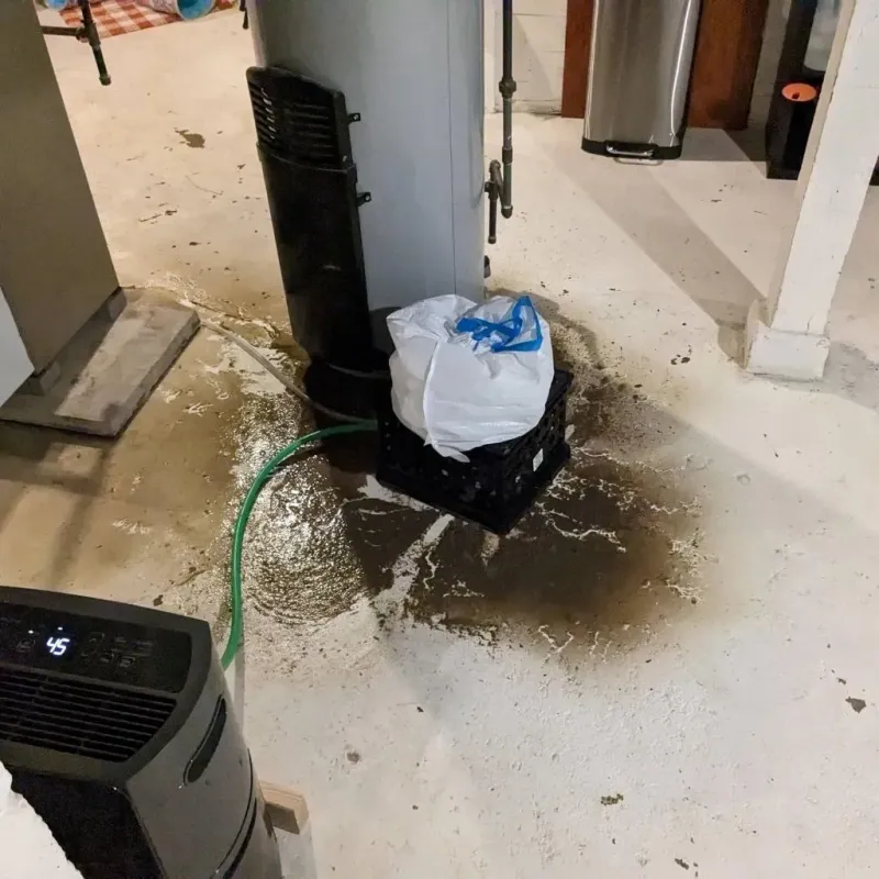 Sewage Backup Cleanup Service in Hightstown, NJ